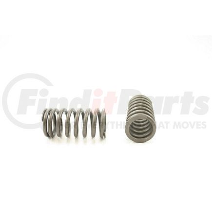 RV6074 by PIONEER - VALVE SPRING