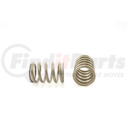 RV5764 by PIONEER - VALVE SPRING