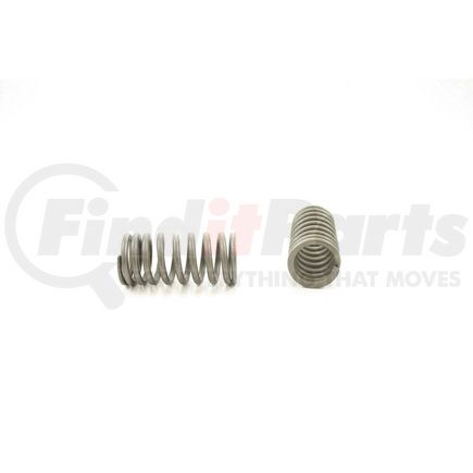 RV6484 by PIONEER - VALVE SPRING