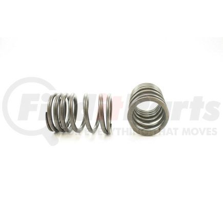 RV6584 by PIONEER - VALVE SPRING