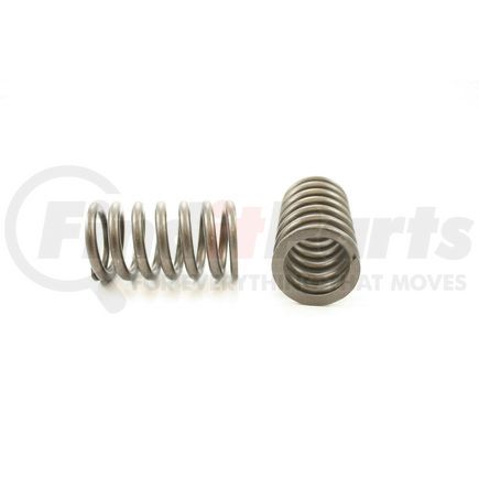 RV6464 by PIONEER - VALVE SPRING