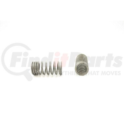 RV6624 by PIONEER - VALVE SPRING