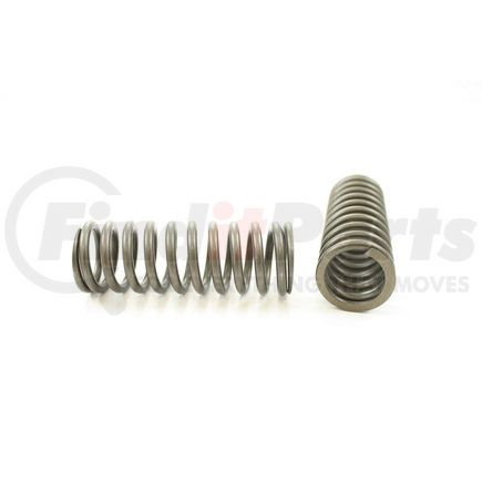 RV681100 by PIONEER - VALVE SPRING