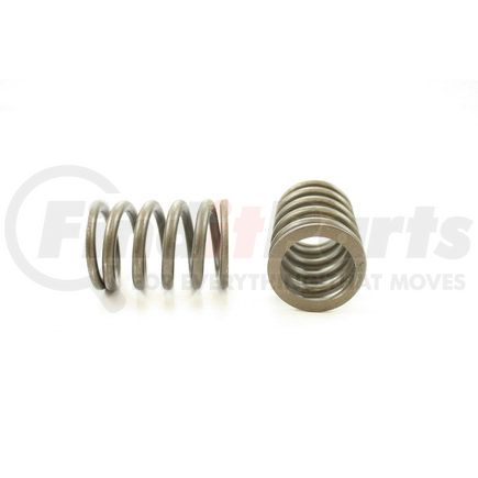 RV688100 by PIONEER - VALVE SPRING