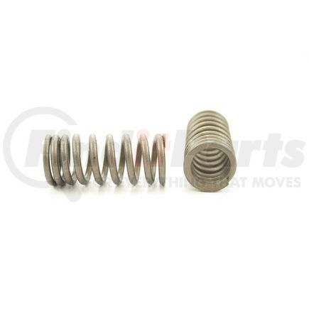 RV7134 by PIONEER - VALVE SPRING