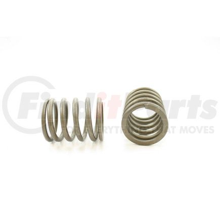 RV7144 by PIONEER - VALVE SPRING