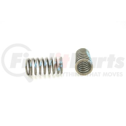 RV7194 by PIONEER - VALVE SPRING