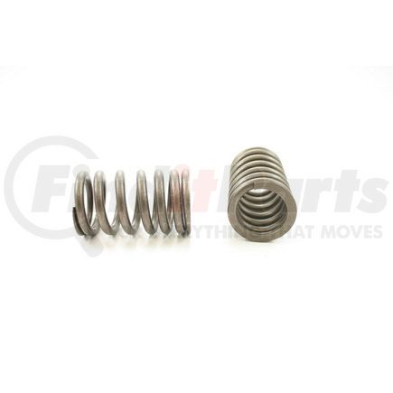 RV7354 by PIONEER - VALVE SPRING