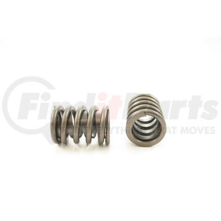 RV786X4 by PIONEER - VALVE SPRING ASSEMBLY