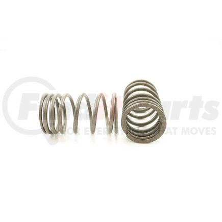 RV794100 by PIONEER - VALVE SPRING