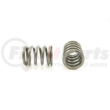 RV8124 by PIONEER - VALVE SPRING