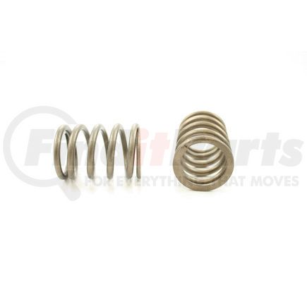 RV814100 by PIONEER - VALVE SPRING