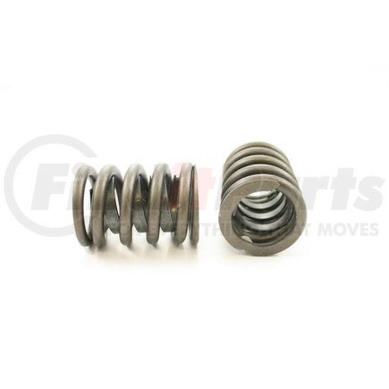 RV815X100 by PIONEER - VALVE SPRING