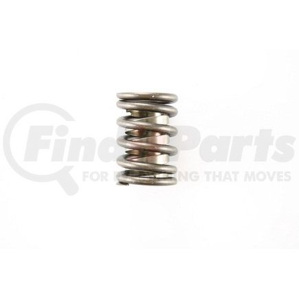 RV816X100 by PIONEER - VALVE SPRING