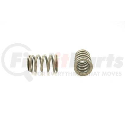 RV8674 by PIONEER - VALVE SPRING