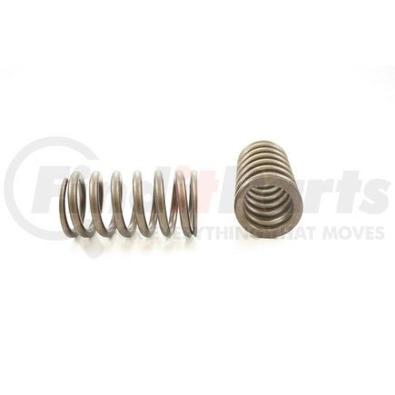 RV869100 by PIONEER - VALVE SPRING