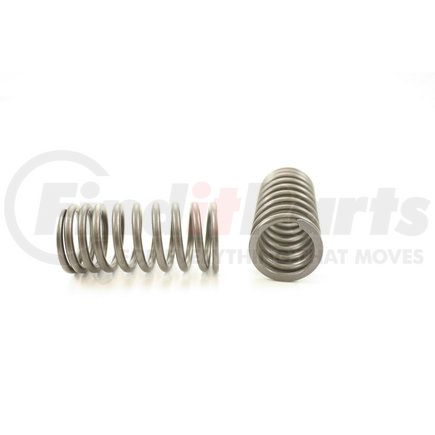 RV872100 by PIONEER - VALVE SPRING