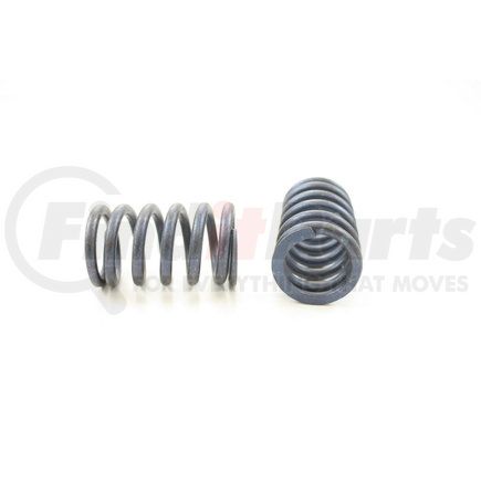 RV8814 by PIONEER - VALVE SPRING