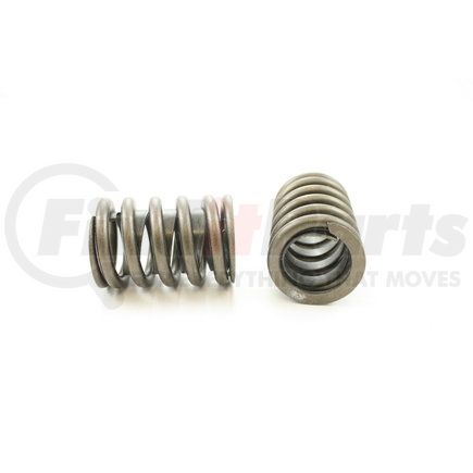 RV887X100 by PIONEER - VALVE SPRING