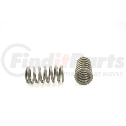 RV8934 by PIONEER - VALVE SPRING