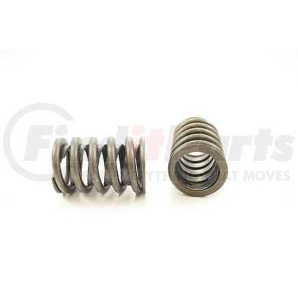 RV891X4 by PIONEER - VALVE SPRING