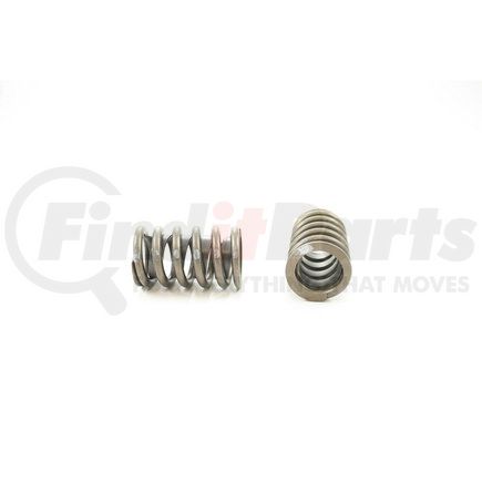 RV911X100 by PIONEER - VALVE SPRING