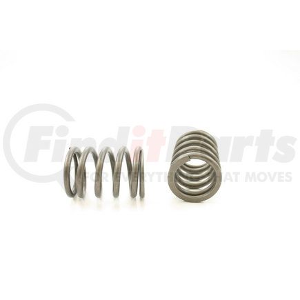 RV9164 by PIONEER - VALVE SPRING