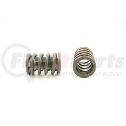 RV935X100 by PIONEER - VALVE SPRING