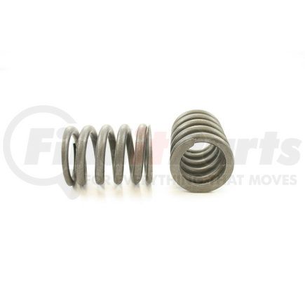 RV961100 by PIONEER - VALVE SPRING