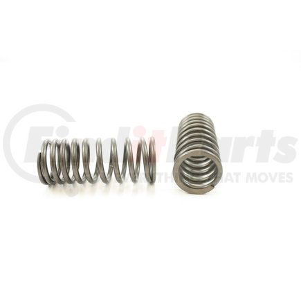 RV9684 by PIONEER - VALVE SPRING