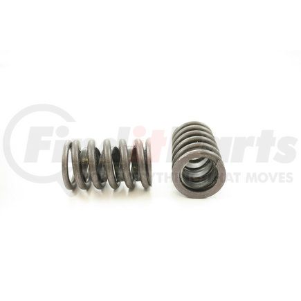 RV998X4 by PIONEER - VALVE SPRING