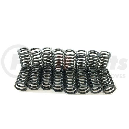 S1054 by PIONEER - Engine Valve Spring Kit