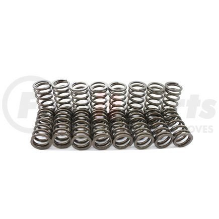 S1055 by PIONEER - Engine Valve Spring Kit