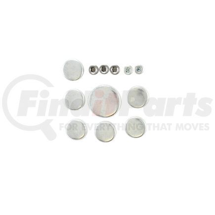 PE109 by PIONEER - Engine Expansion Plug Kit