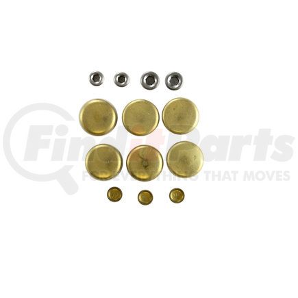 PE165BR by PIONEER - Engine Expansion Plug Kit