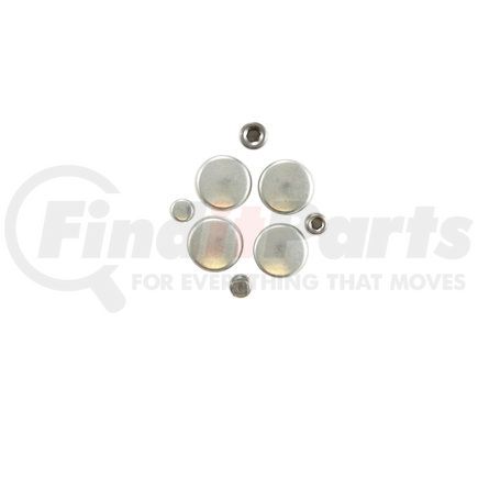 PE173 by PIONEER - Engine Expansion Plug Kit