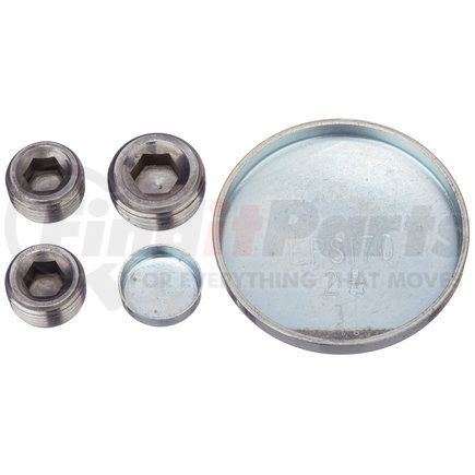 PE184 by PIONEER - Engine Expansion Plug Kit