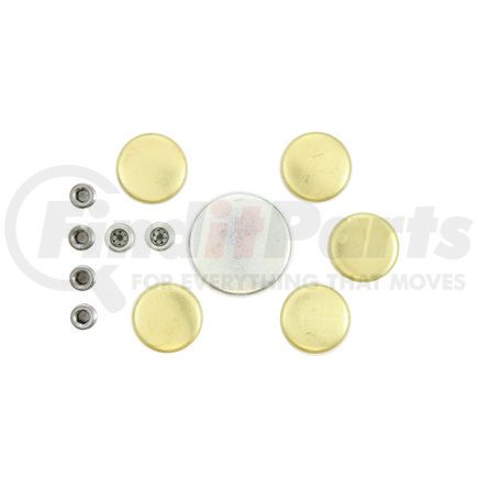 Pioneer PE252BR Engine Expansion Plug Kit Engine Expansion Plug Kit