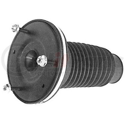 ST2988 by WESTAR - Suspension Strut Mount