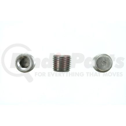 PP507100 by PIONEER - PIPE PLUG