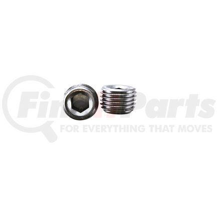 PP567100 by PIONEER - PIPE PLUG