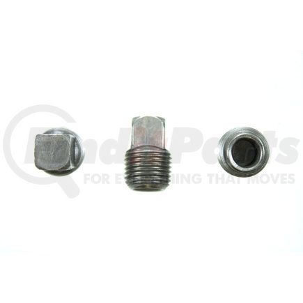 PP73325 by PIONEER - PIPE PLUG