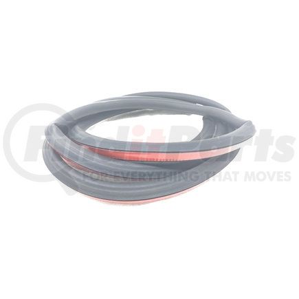 16QS229F by MACK - Cab Door Seal - Sold Per Foot (16QS228P4, 16QS228P40, 25160886)