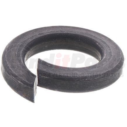 SLW-78 by DAYTON PARTS - 7/8" LOCK WASHER