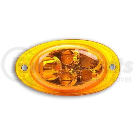 A06-82313-001 by FREIGHTLINER - Turn Signal Lamp - 14.20V, LED, Amber Lens, Polycarbonate