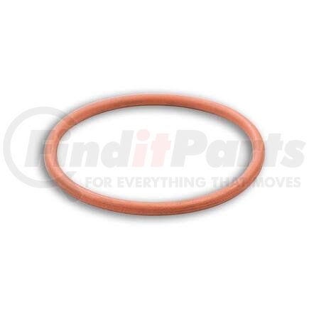 FP-5234702 by FP DIESEL - SEAL RING INJECT