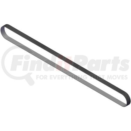 Cummins 4941303 V Ribbed Belt
