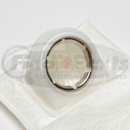 FS0069 by DELPHI - Strainer