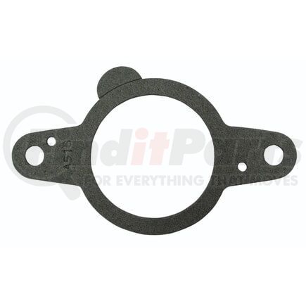 25194 by STANT - Gaskets & Seals