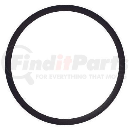 27300 by STANT - Engine Coolant Thermostat Seal